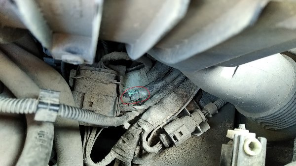 IMG_20200307_153817_1.jpg (865.82 Кб) Просмотров: 451 IMG_20200307_153817_1.jpg