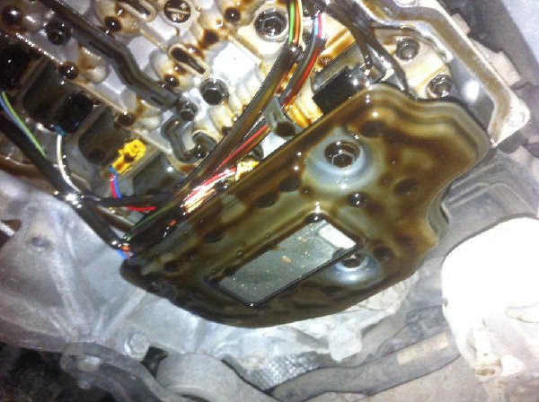 IMG_0592.jpg (119.78 Кб) Просмотров: 723 IMG_0592.jpg