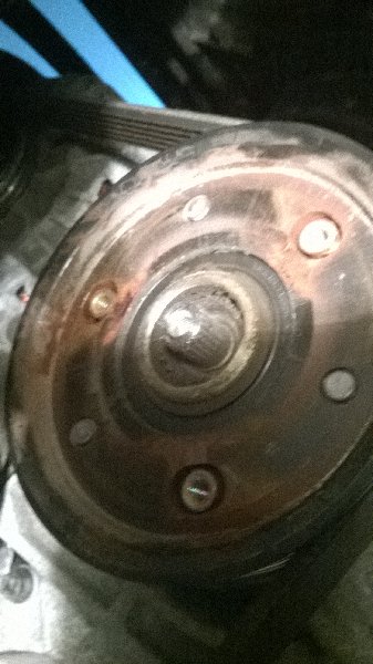 WP_20140523_002.jpg