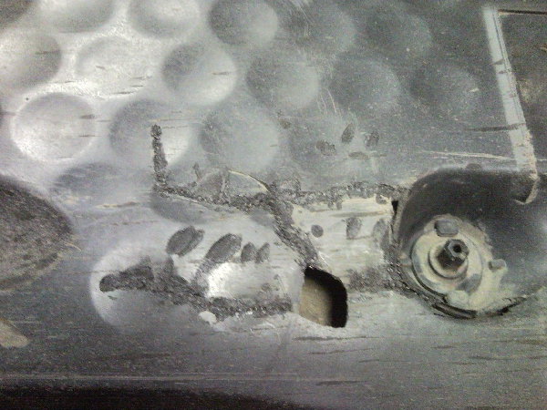 SNC00165.jpg