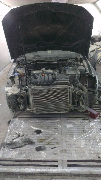 IMAG0562.jpg