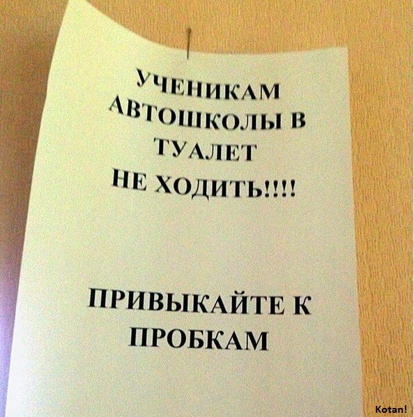 ABn0HFu6WhQ.jpg