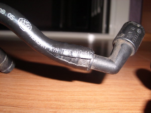 SL272223.JPG