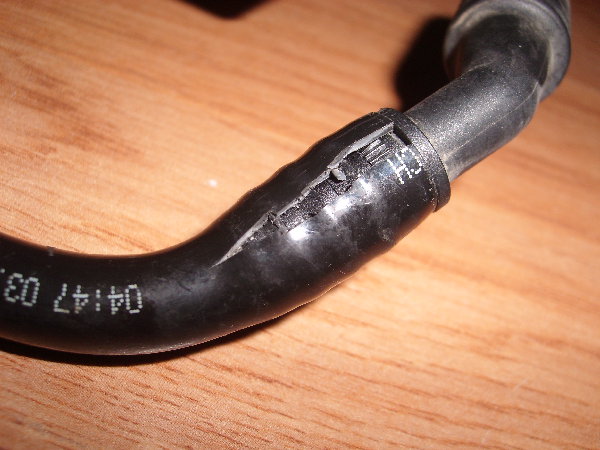 SL272225.JPG
