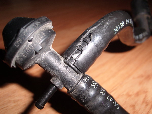SL272226.JPG