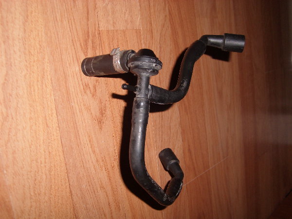 SL272227.JPG