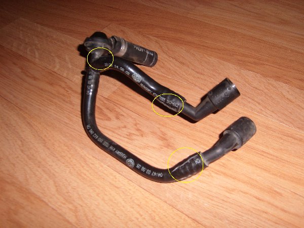 SL272220.JPG
