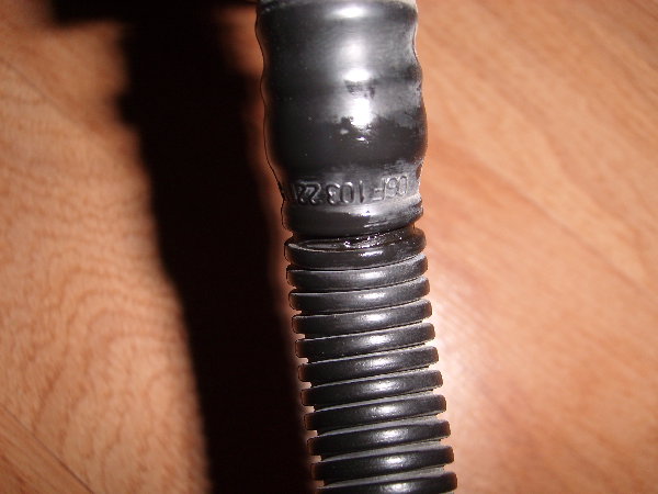 SL272231.JPG
