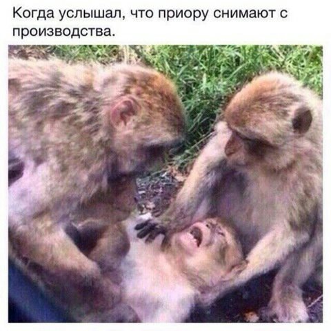 uploadfromtaptalk1455657510678.jpg
