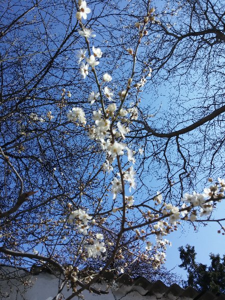 20150314_122536.jpg