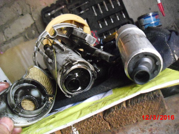 CIMG0395.JPG