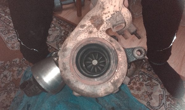IMAG1106.jpg