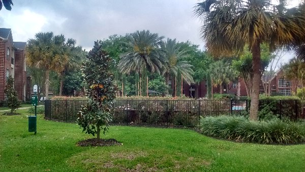 IMG_20160410_174544850_HDR.jpg