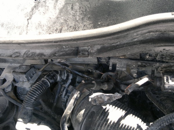 050620161540.jpg (1.73 Мб) Просмотров: 352 050620161540.jpg