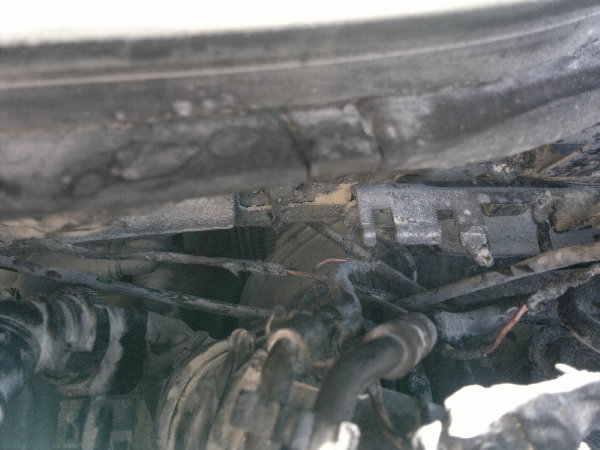 050620161541.jpg (1.43 Мб) Просмотров: 324 050620161541.jpg