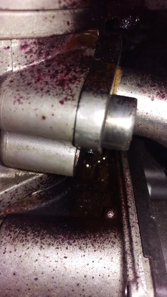IMAG0279.jpg