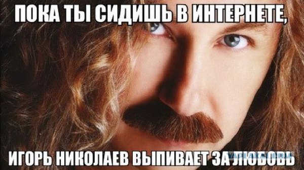 8783973.jpg