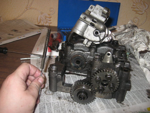 IMG_0464.JPG (1.04 Мб) Просмотров: 739 IMG_0464.JPG