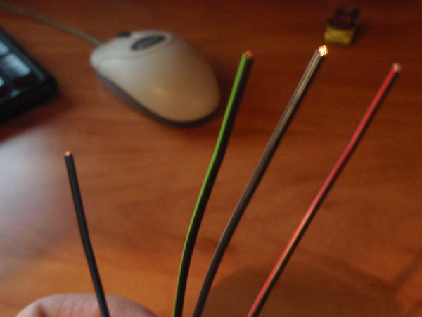 P2130479.JPG
