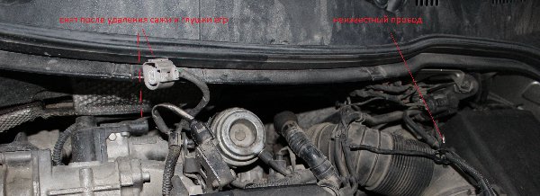 IMG_5830.JPG (2.45 Мб) Просмотров: 1030 IMG_5830.JPG