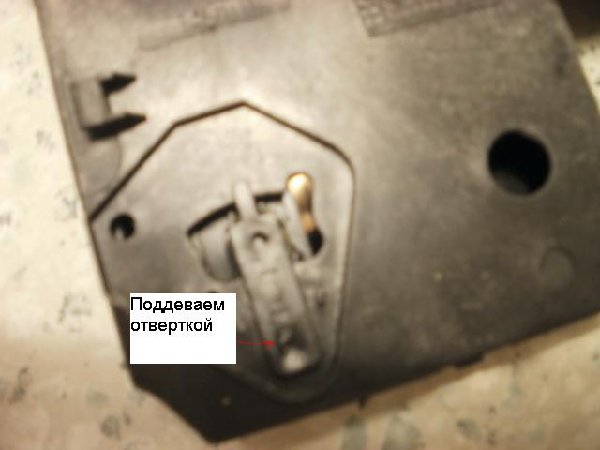 P6030132_новый размер.JPG