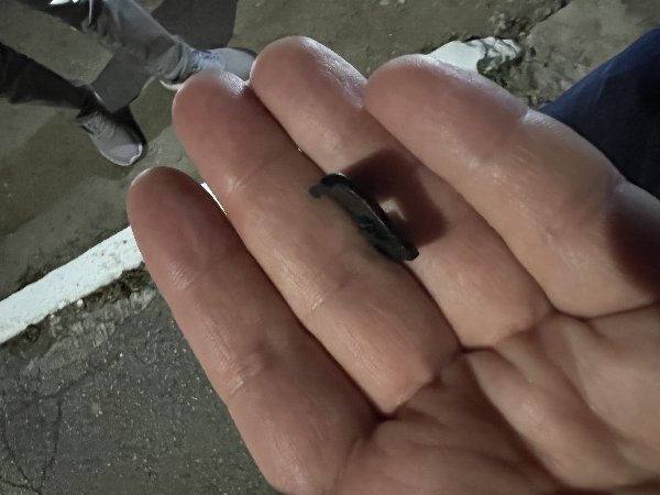 IMG_6354.jpeg (1.29 Мб) Просмотров: 95 IMG_6354.jpeg