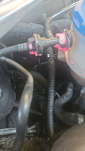 WhatsApp Image 2025-09-03 at 08.43.29.jpeg