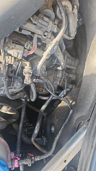 WhatsApp Image 2025-09-03 at 16.55.17.jpeg